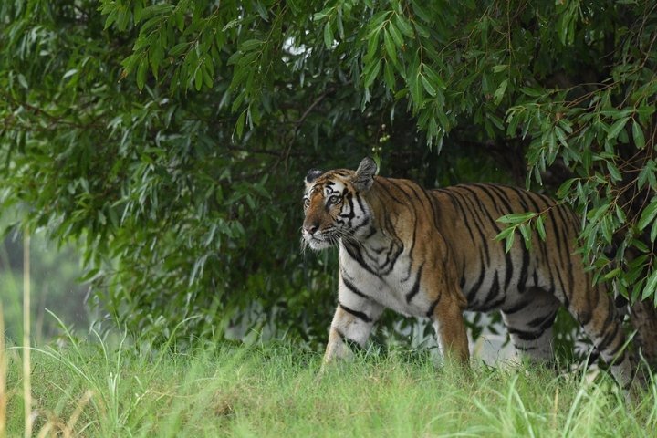 Untitled design (11)